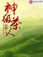 茶神小说免费阅读封面